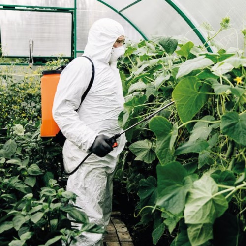 Organic Pest Control