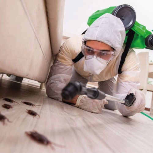 Pest Control Service